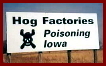 Factory farms poisoning Iowa