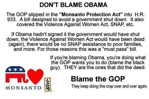 don't blame obama
